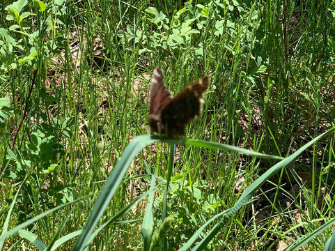 Hyde Memorial State Park-圣菲必去景点