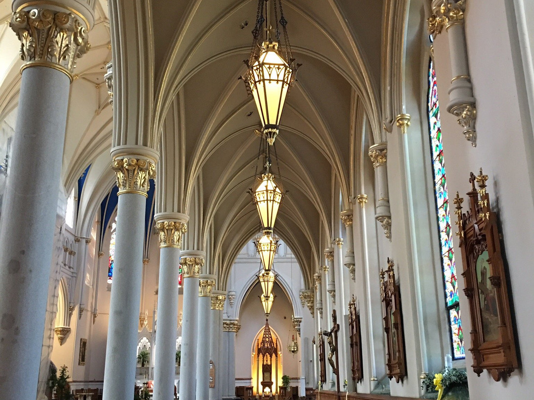 St. Peter Cathedral景点图片