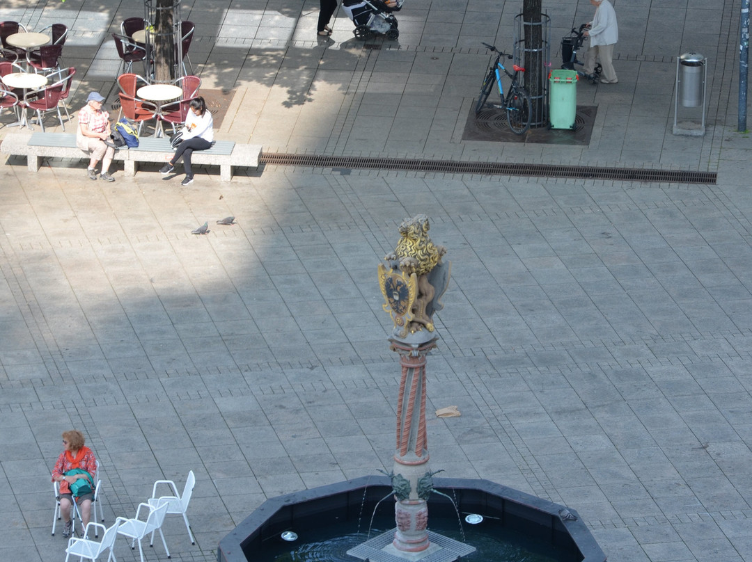 Löwenbrunnen-乌尔姆必去景点