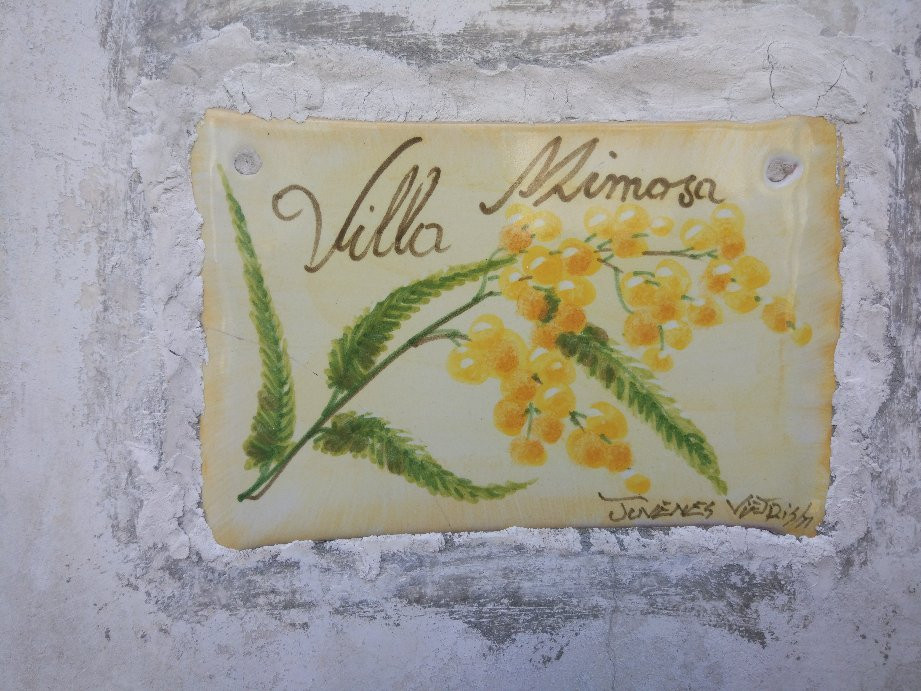 Villa Mimosa主图