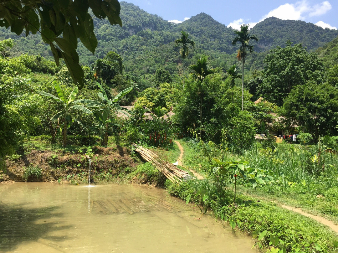 Les Bains de Hieu Ecolodge主图