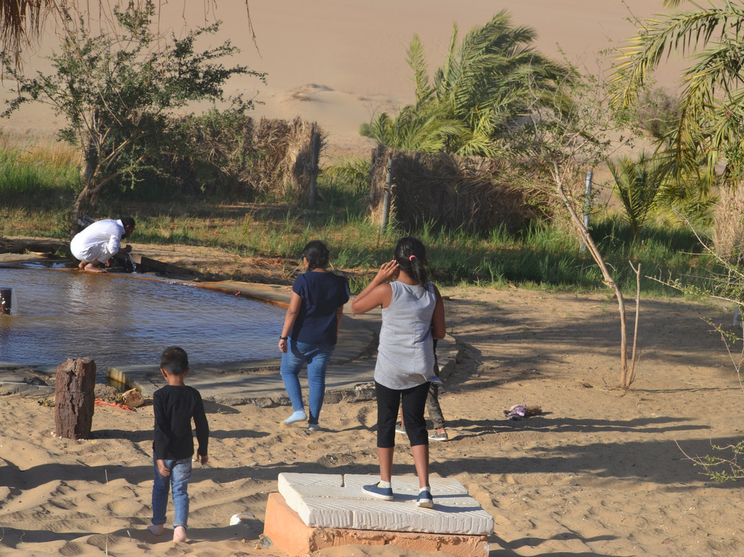 Sahara Desert-New Valley Governorate必去景点