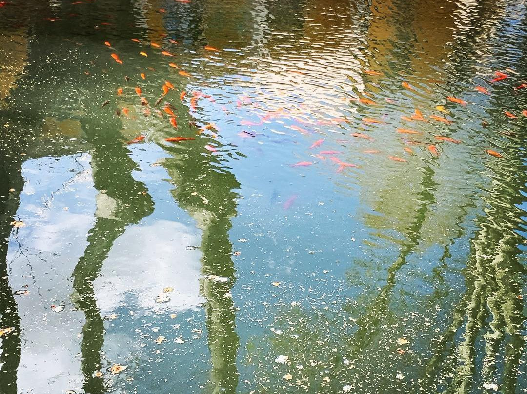 Voyage en Provence景点图片
