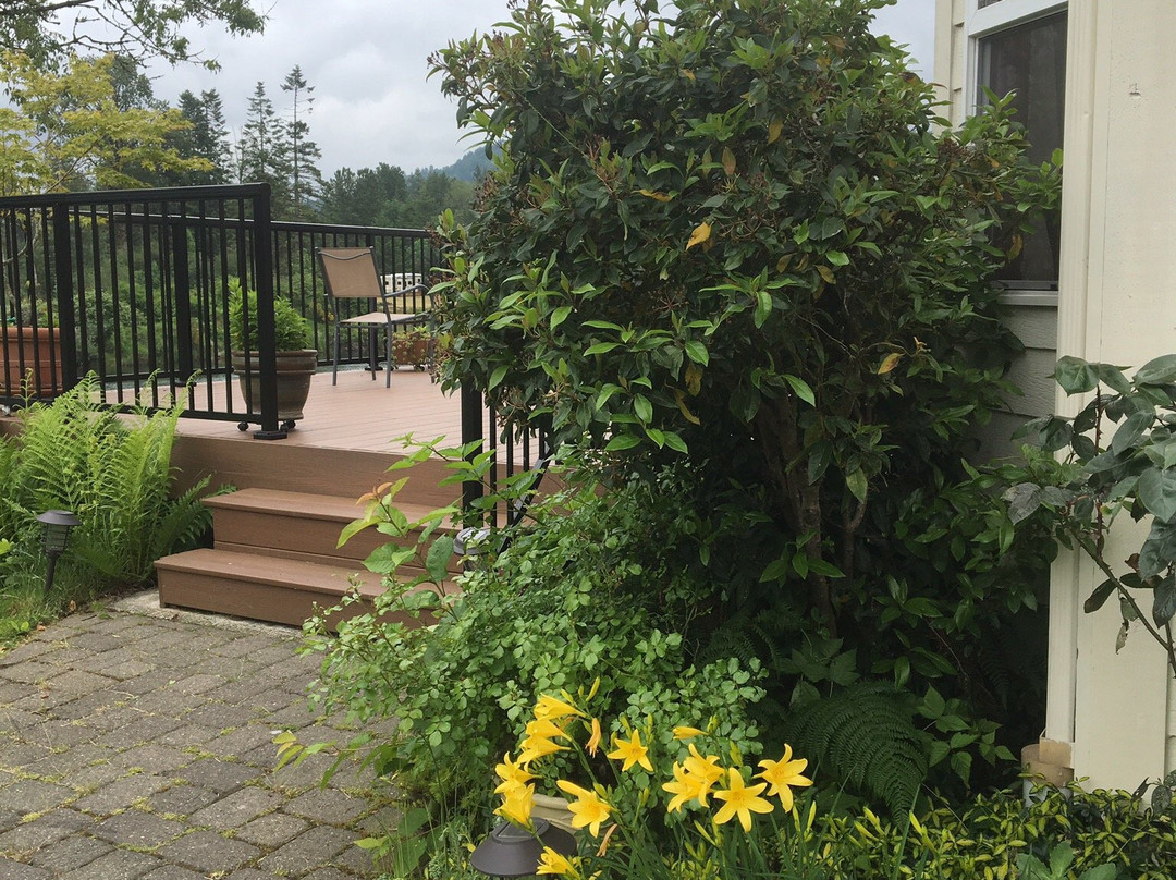 Lewis River Bed & Breakfast主图