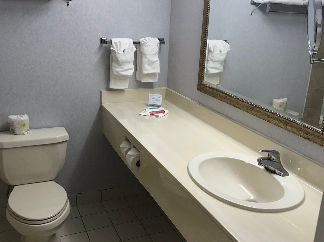 Comfort Inn & Suites主图