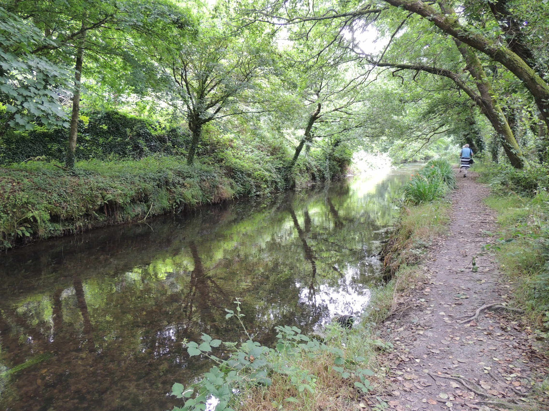 King's Wood-Pentewan必去景点