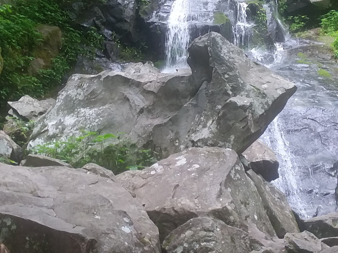 Hen Wallow Water Falls景点图片