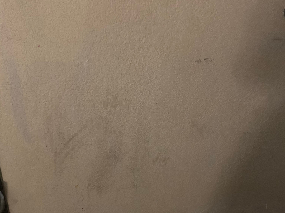 Super 8 by Wyndham Monroe主图