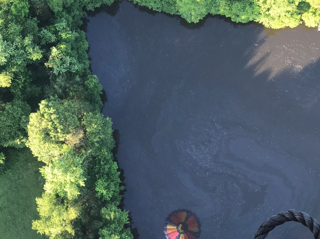 Boar's Head Ballooning - Private Flights-夏洛茨维尔必去景点