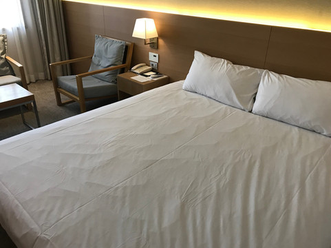 阿斯塔尔酒店主图