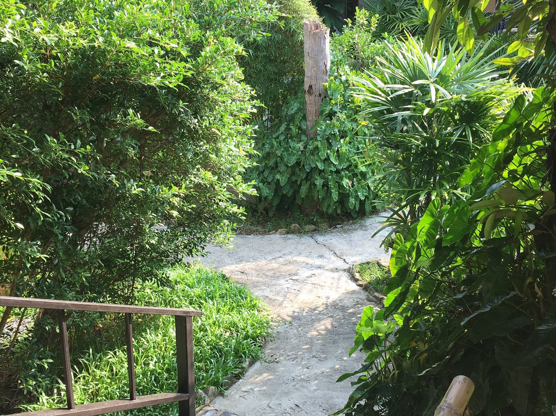 Lucky Gecko Garden主图