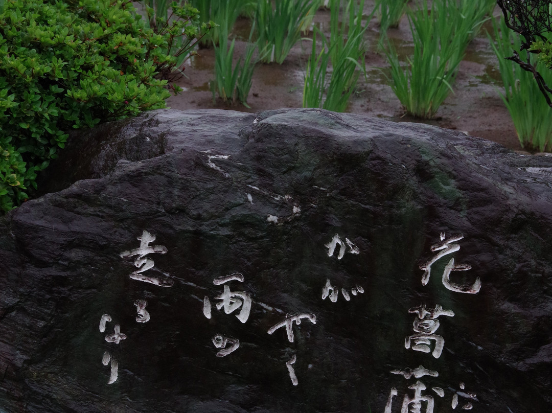 堀切菖蒲园-葛饰区必去景点