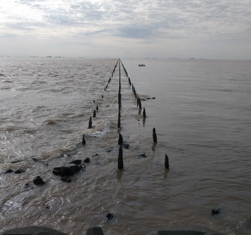 Lancha Isla Paulino-Berisso必去景点