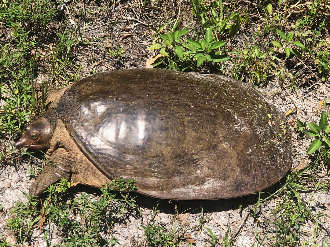 Riverbend Park-朱庇特必去景点