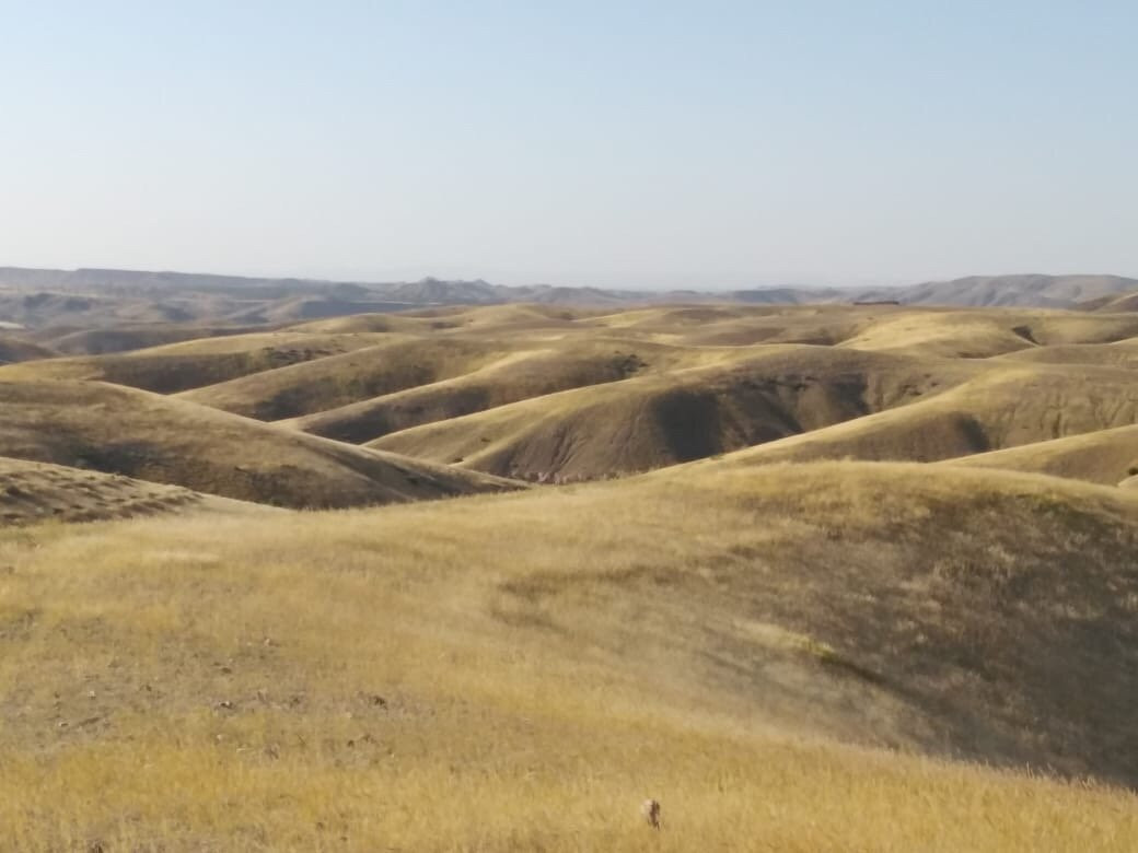 Atlas Mountain Tours-伊姆利勒必去景点