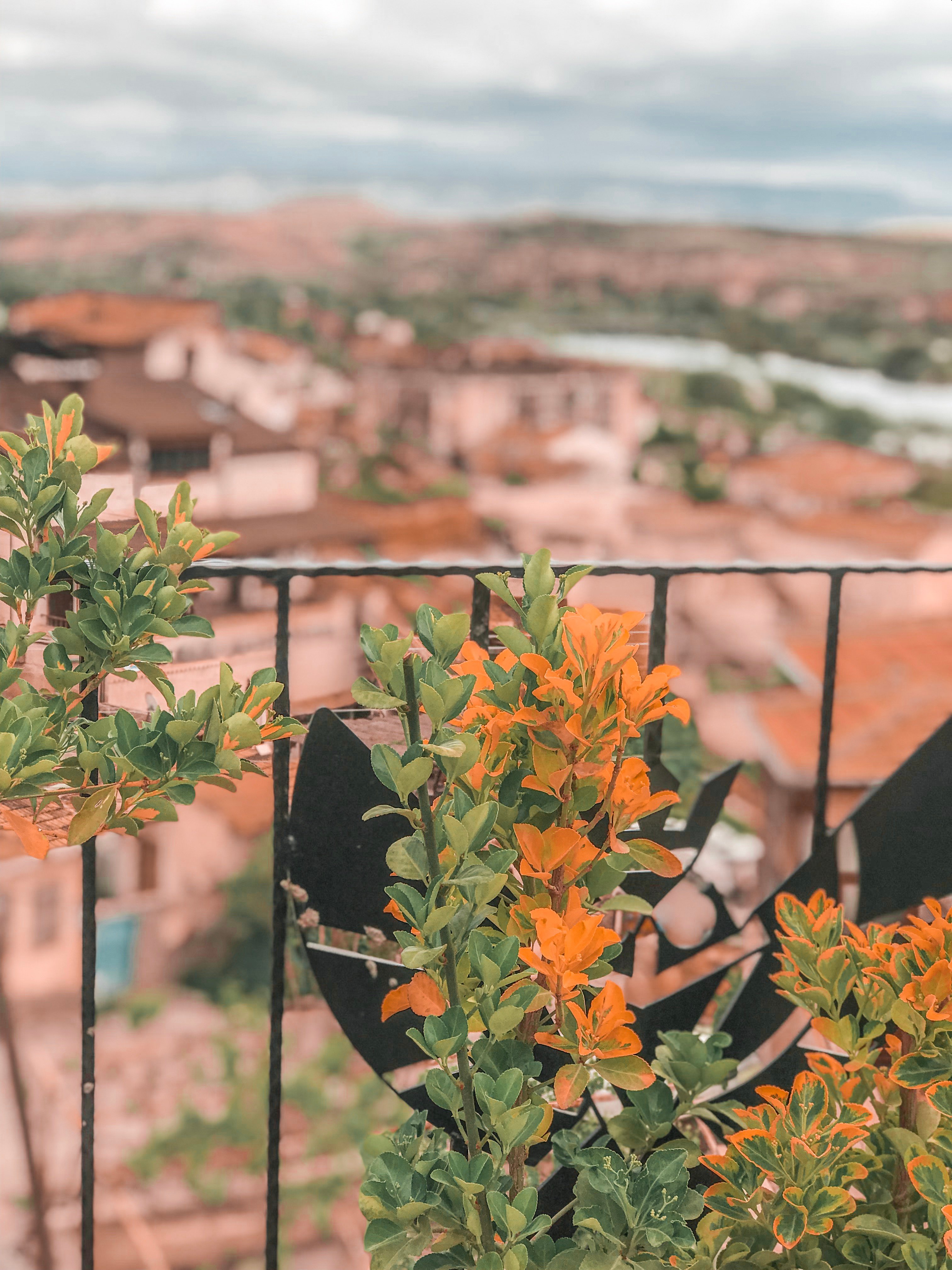 Mira Cappadocia Hotel-浴室