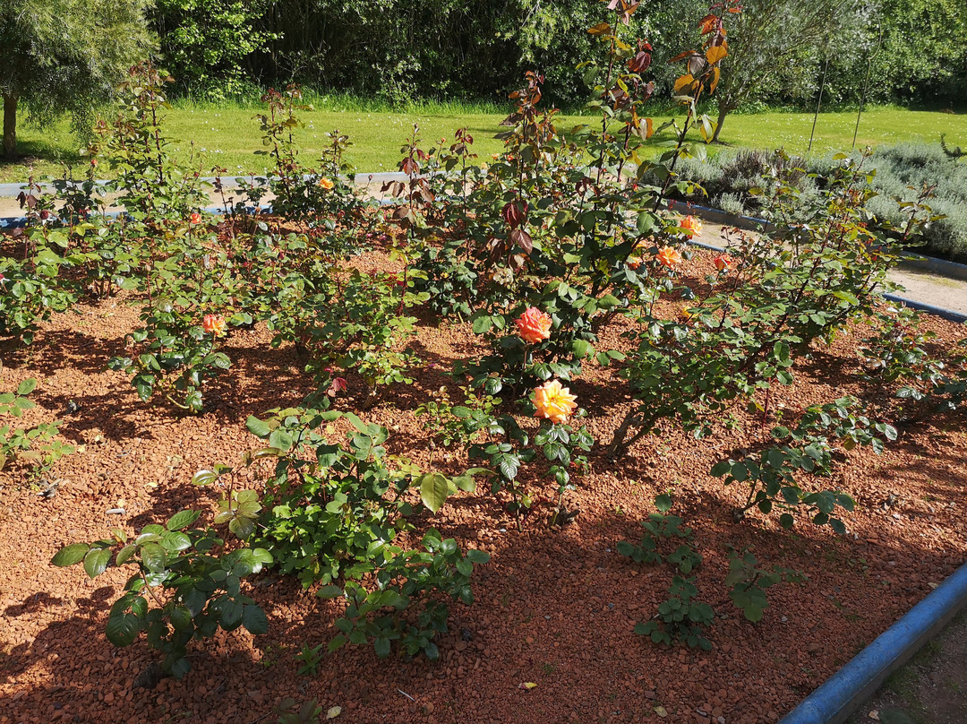 Jardin Marocain-La Chapelle-des-Fougeretz必去景点