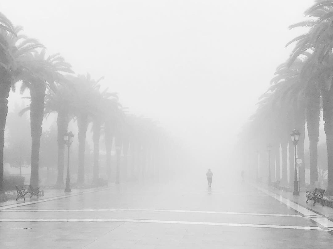 Paseo de las Palmeras景点图片