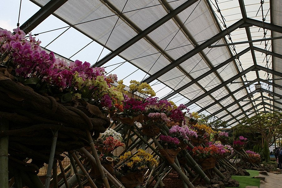 Hampyeong Expo Park - Natural Ecological Museum景点图片