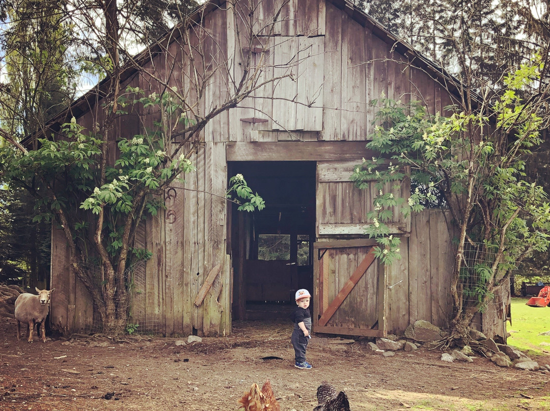 Holly Hill Farm景点图片