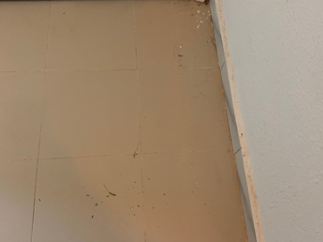 Hotel Dakyanus主图