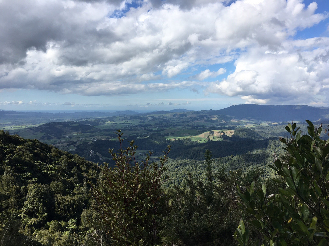 Karangahake Mountain Track Loop-Waikino必去景点