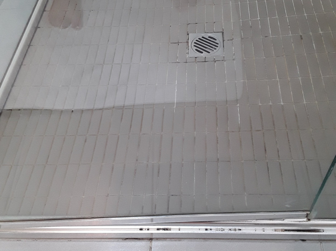 贝尔维尤市的湖泊主图