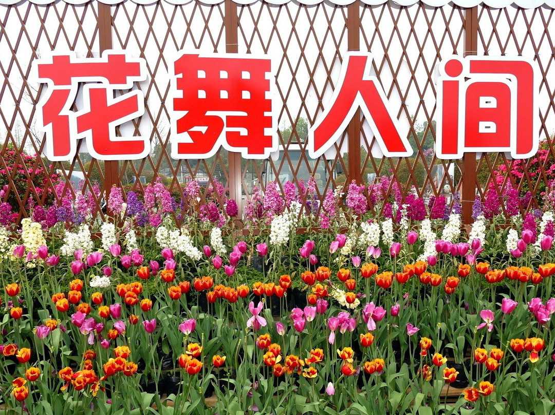 花舞人间旅游景区-新津县必去景点