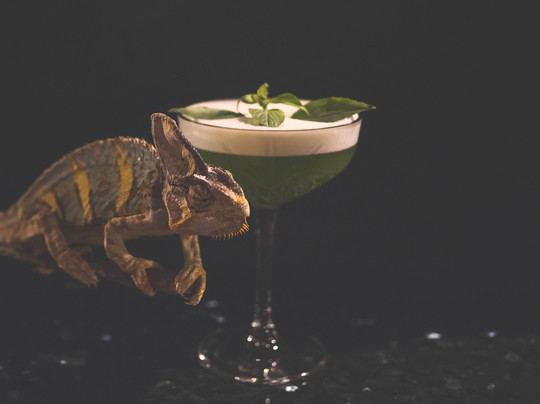 Cocktail Bar by Incognito-弗罗茨瓦夫必去景点