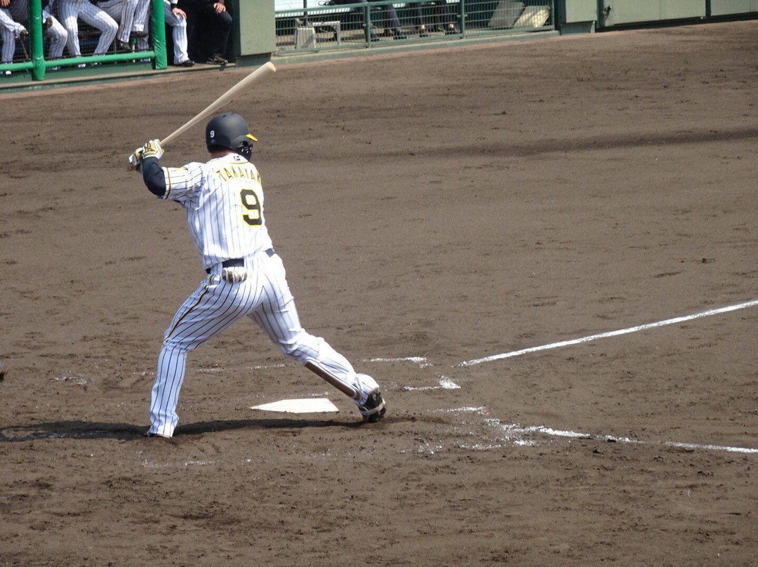 Hanshin Naruohama Baseball Stadium-西宫市必去景点