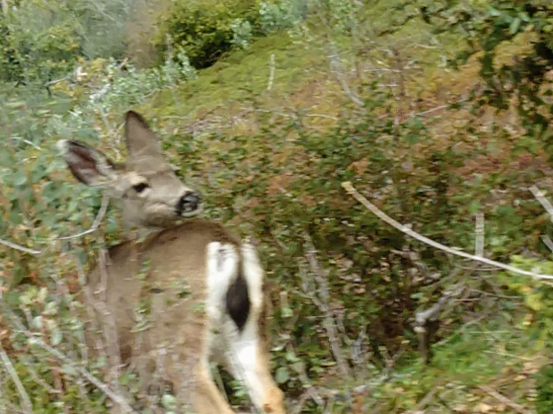 Scenic Route Highway 49-奥克赫斯特必去景点
