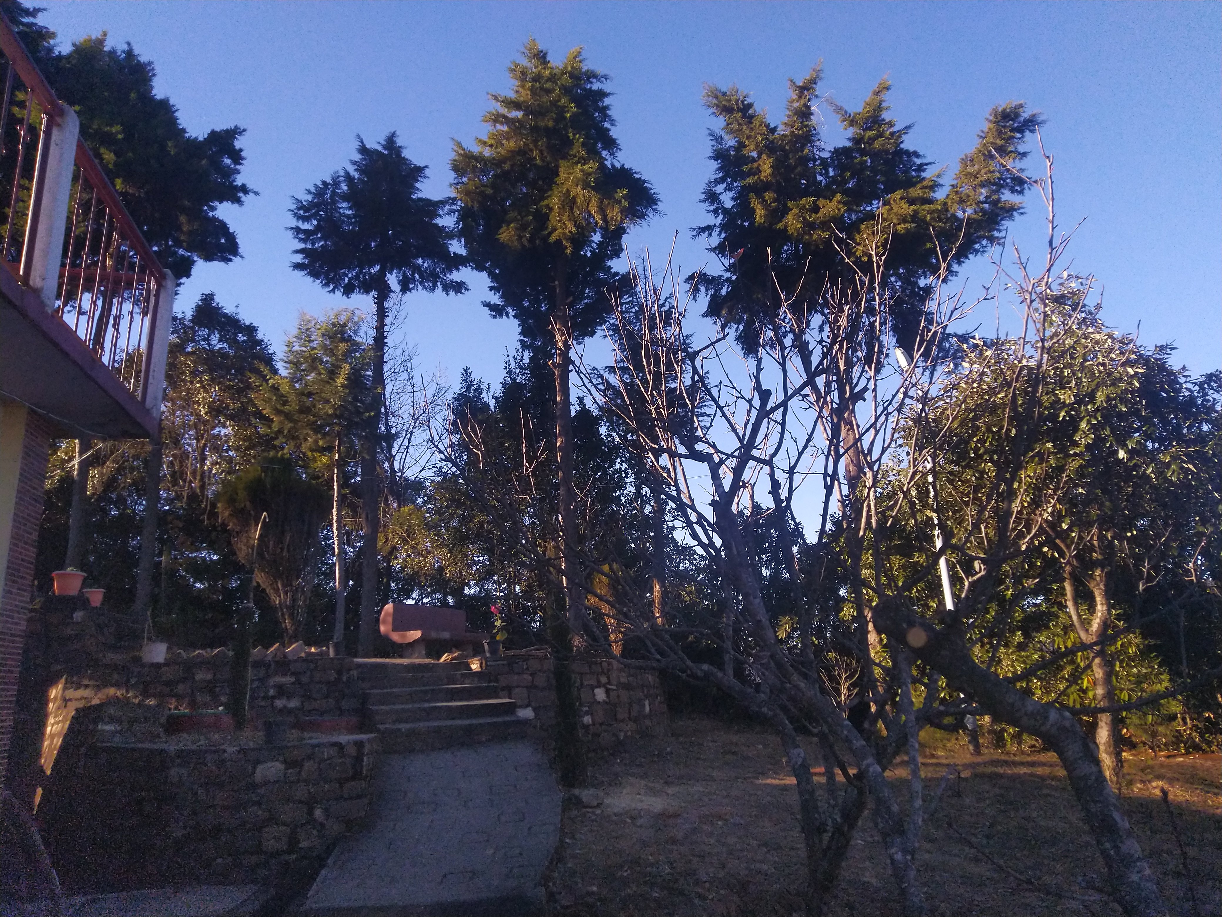 Trishul Orchard Resort-酒店景观