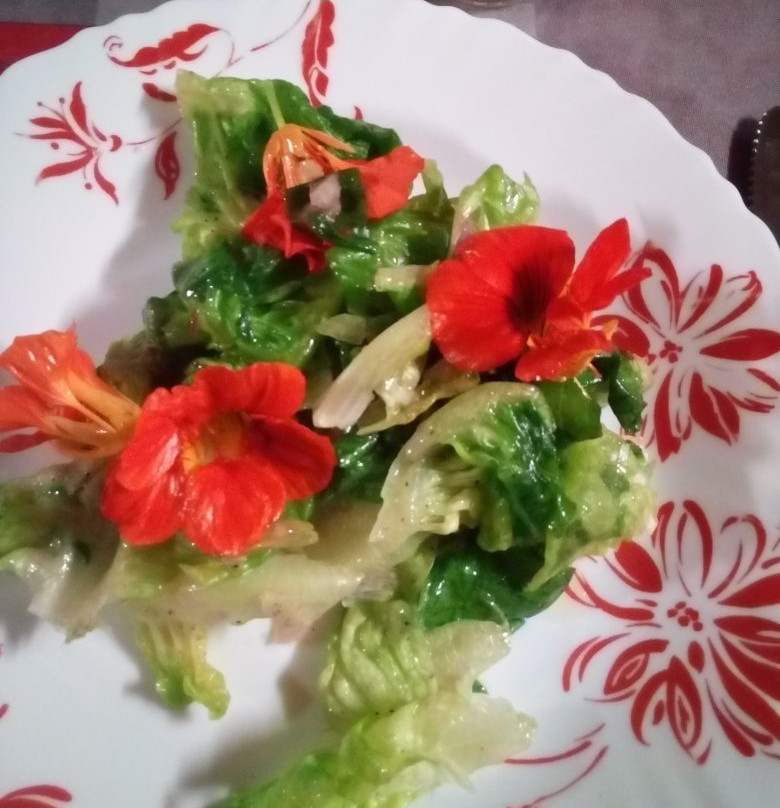 Gite Expedit Orchidee Sauvage主图