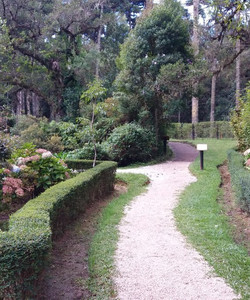 Bosque do Silêncio景点门票图片