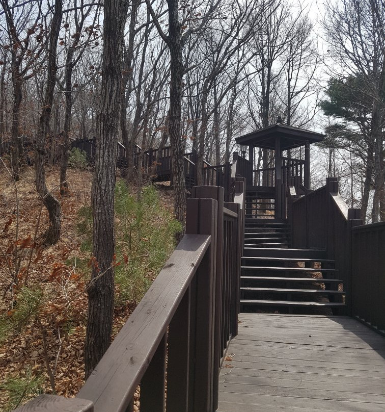 Botanical Garden Of Gyeongsangbukdo-浦项市必去景点