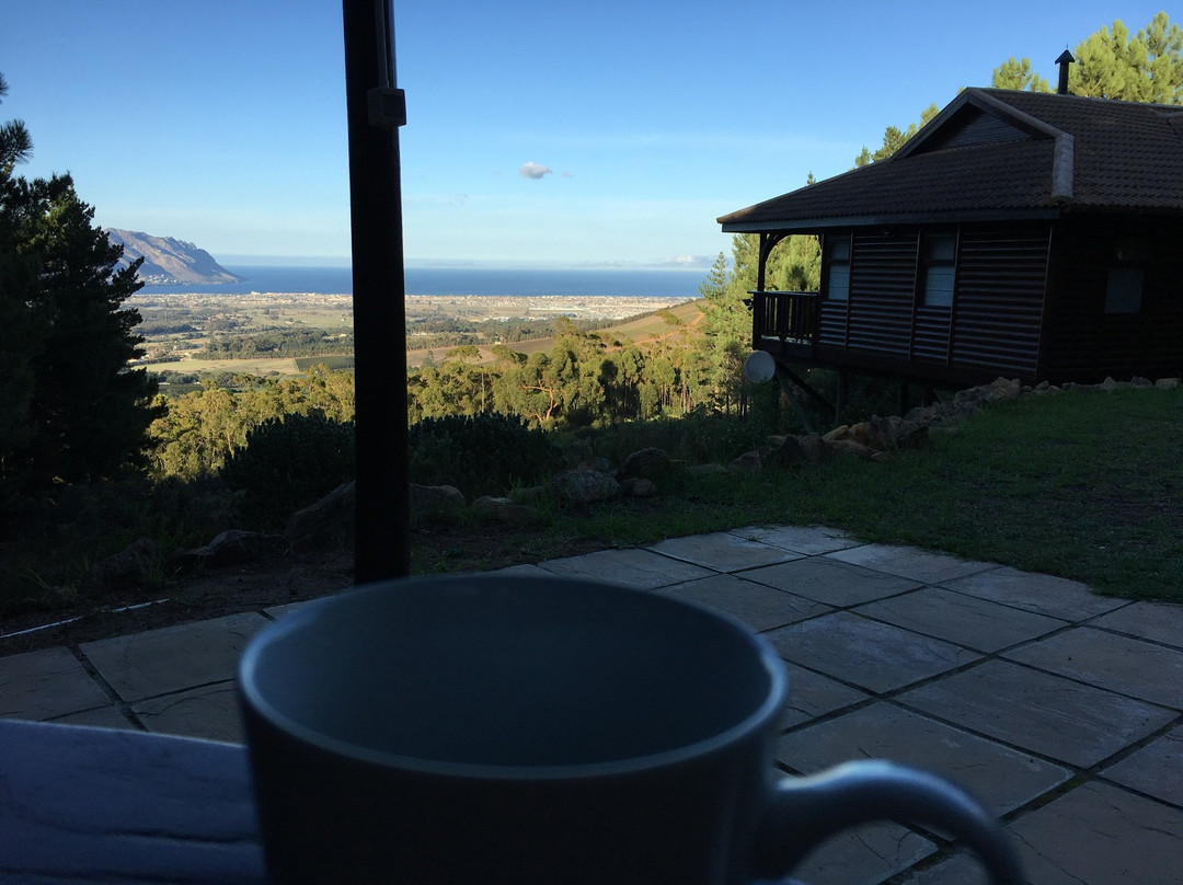 Lalapanzi Lodge主图