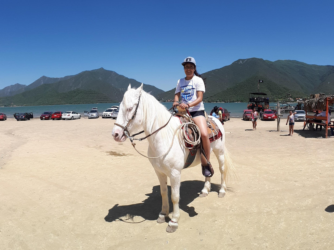 MONTERREY TOUR-蒙特雷必去景点