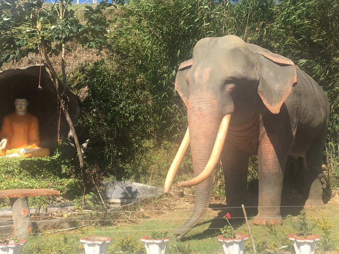 Swarnagiri Maha Viharaya-奴娃拉伊利雅必去景点