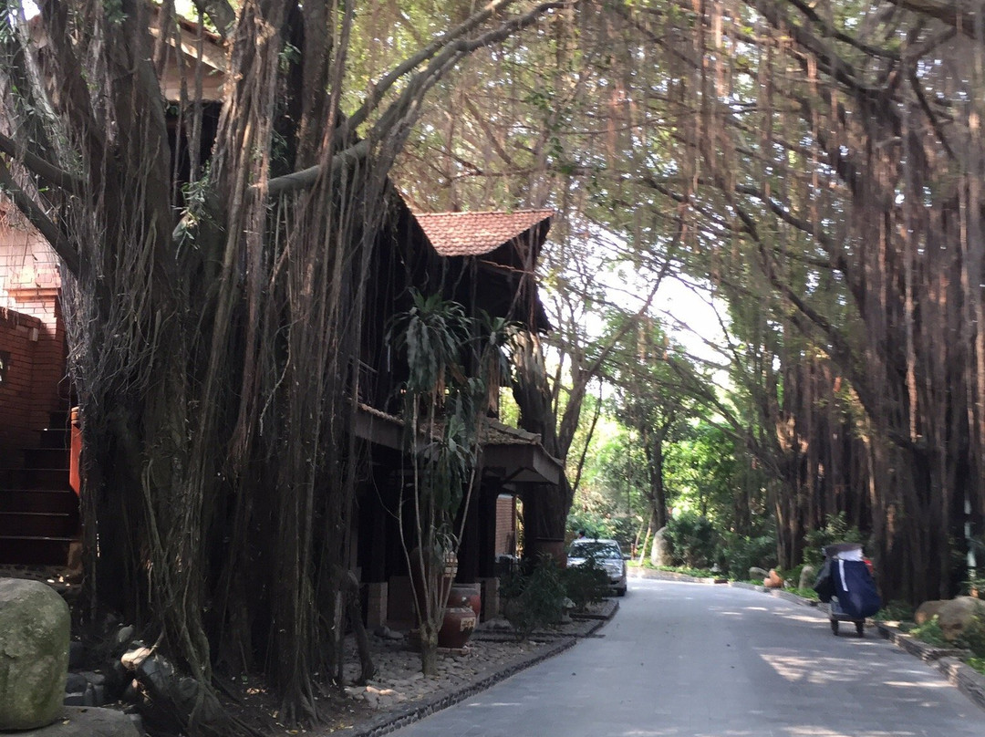 Phuong Nam Resort主图