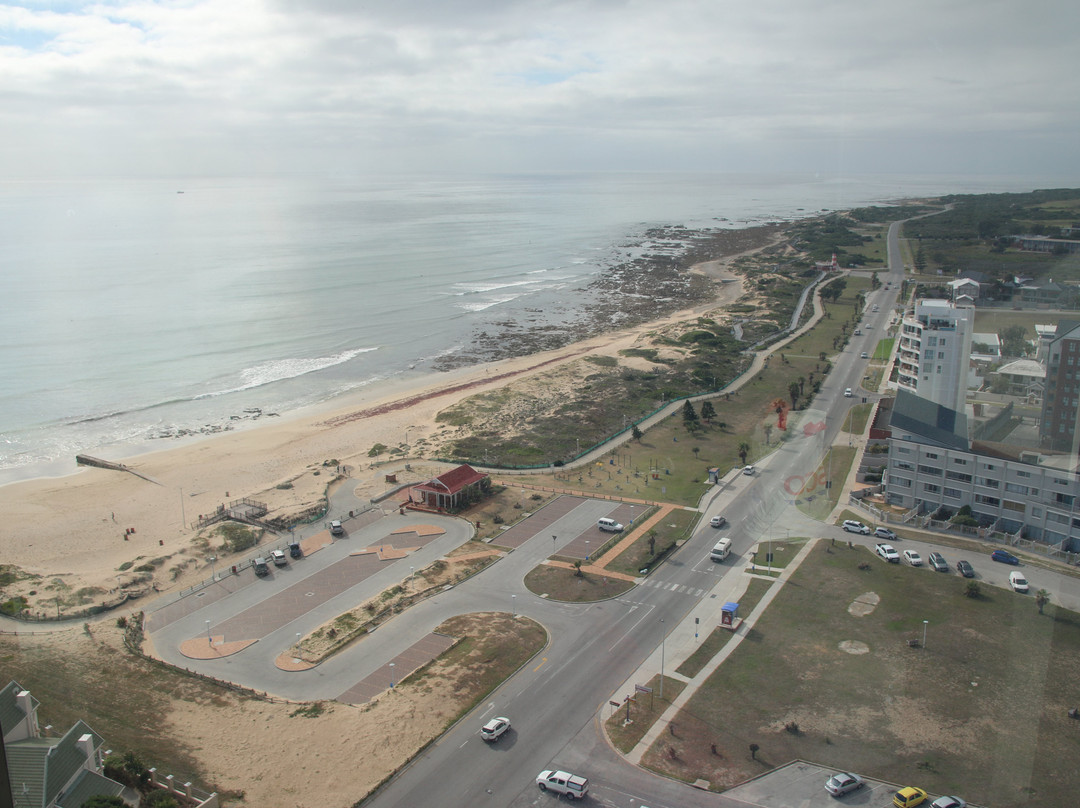伊丽莎白港丽笙布鲁酒店主图