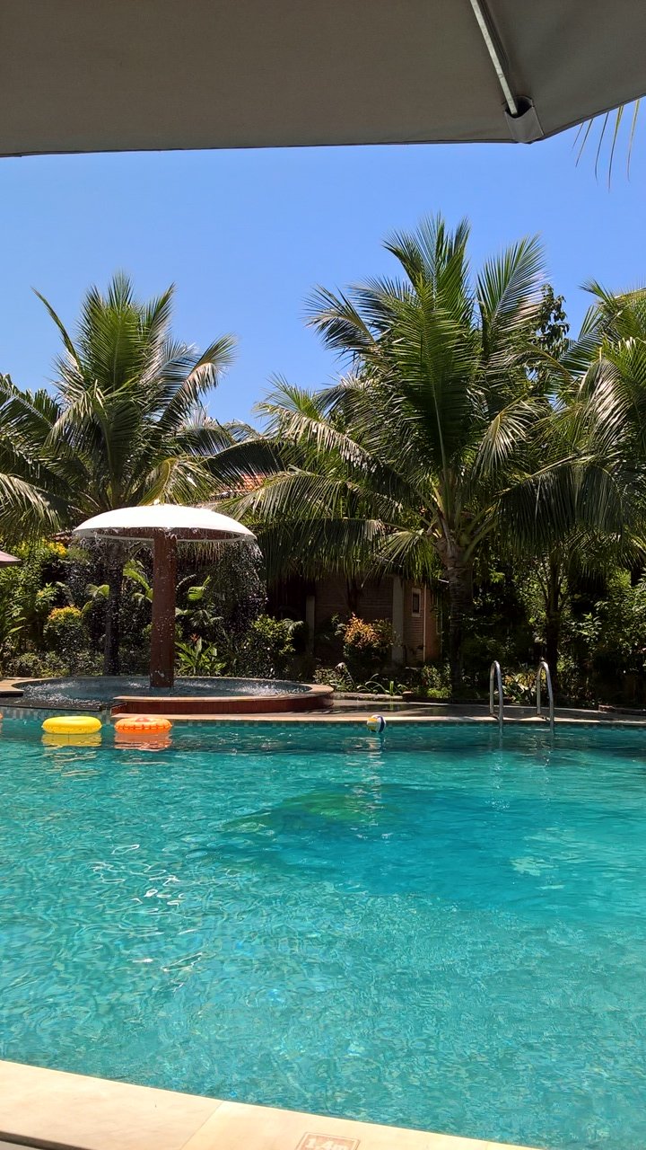 Elwood Premier Resort-泳池