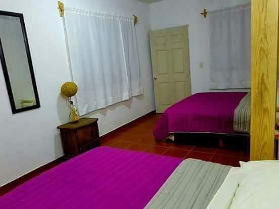 Hotel Finca Santa Monica主图