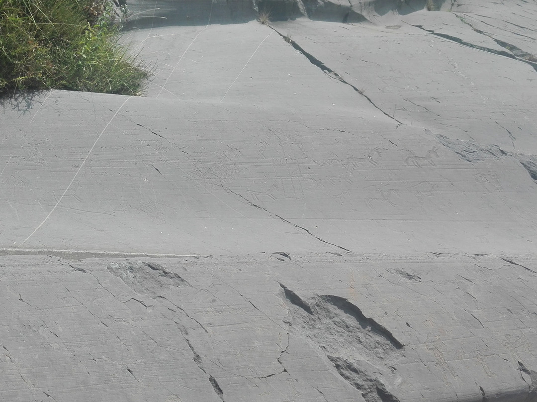 梵尔卡莫尼卡谷地岩画景点图片