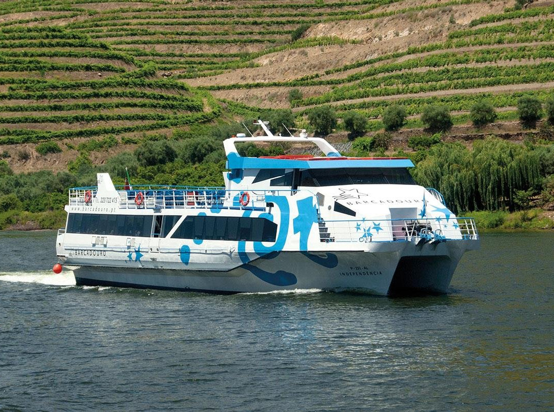 Douro Criativo景点图片