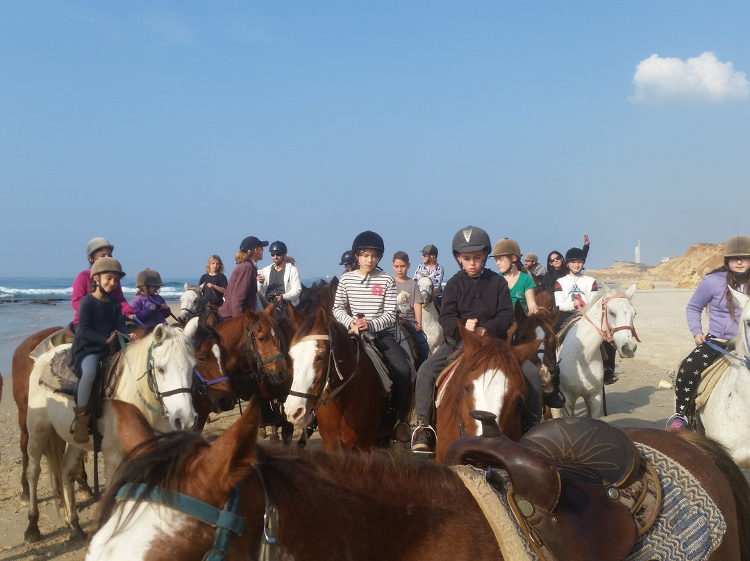 Cactus Ranch-Hadera必去景点