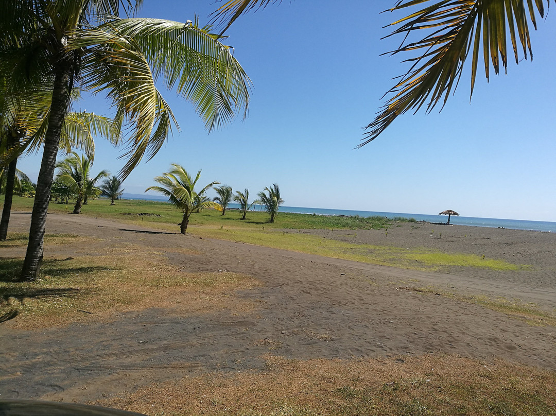 Palo Seco Beach景点图片