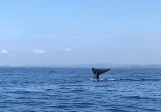 Ocean Explorers-美蕊沙必去景点