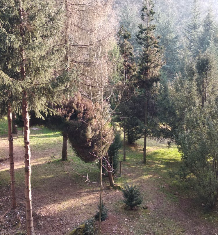 Orto Botanico delle Conifere景点图片