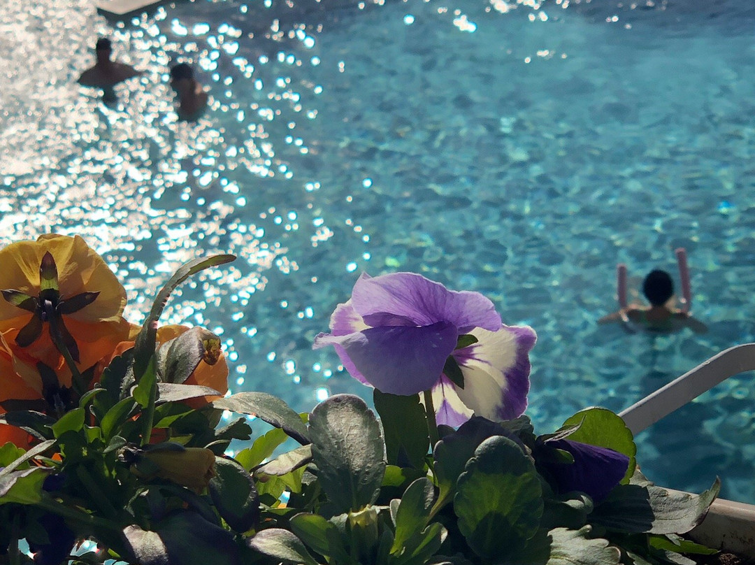 Hotel Abano Terme Cristoforo主图