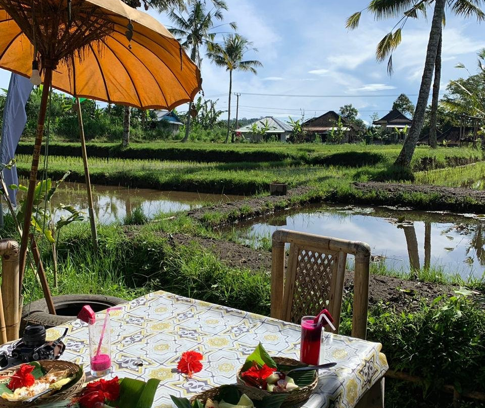 Seed Of Life Moodra主图